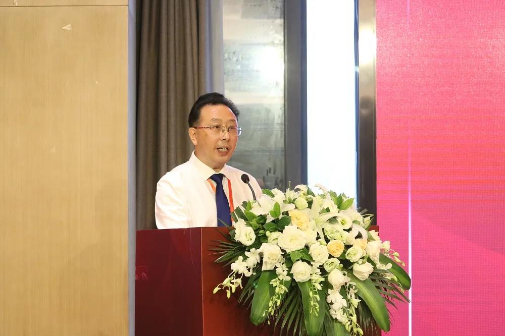 91视频污网站設計